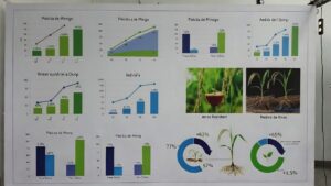 Gene Editing: Arroz Resistente à Seca com +27% de Yield (Gene OsIRO2)